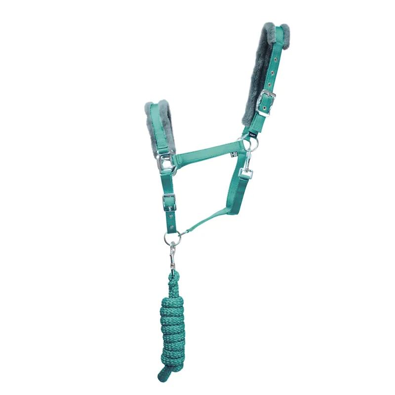 Hy Sport Active Head Collar and Lead Rope - Spearmint Green/Grey